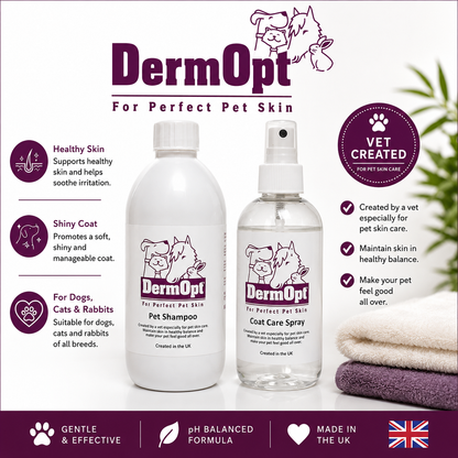 Coat Care Essentials Bundle - 250ml Spray & Shampoo with Free Grooming Pad & Bag Holder